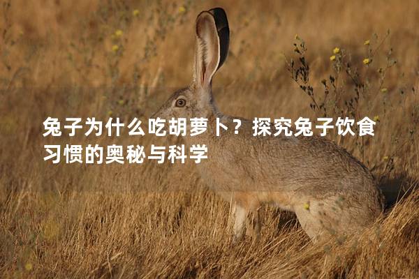 兔子為什么吃胡蘿卜？探究兔子飲食習慣的奧秘與科學